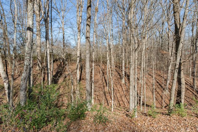 3117 Country Side Dr, Centerville, TN 37033