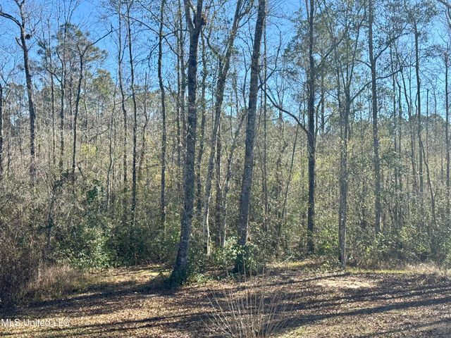 10418 Edwin Ladner Road, Pass Christian, MS 39571