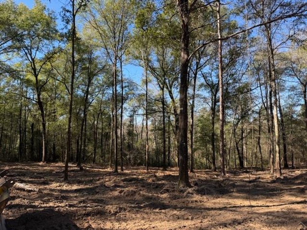 0 Danner Road, Wilmer, AL 36587 — photo 2
