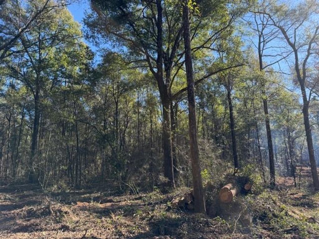 0 Danner Road, Wilmer, AL 36587 — photo 3