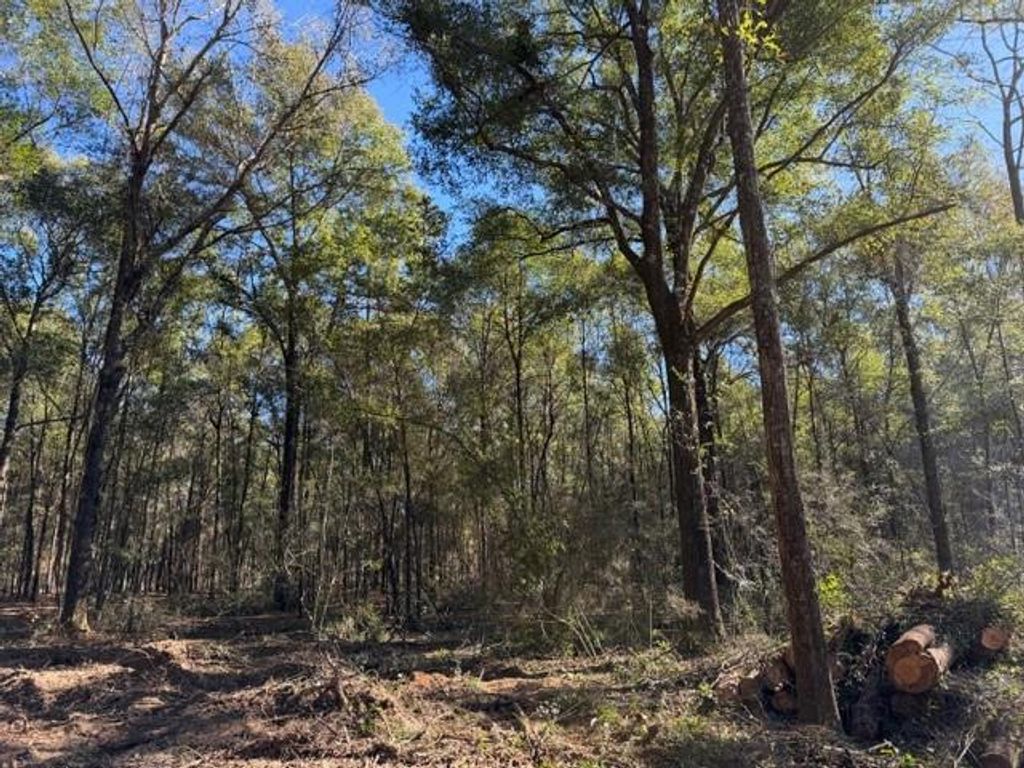 0 Danner Road, Wilmer, AL 36587 — photo 4