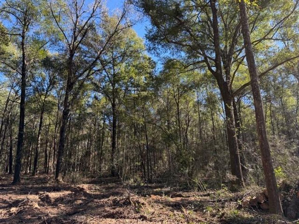 0 Danner Road, Wilmer, AL 36587 — photo 5