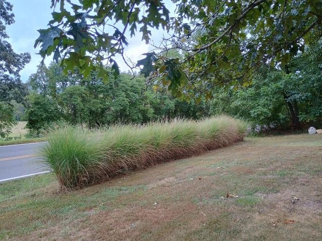 46 Private Road 160-190, Alton, MO 65606