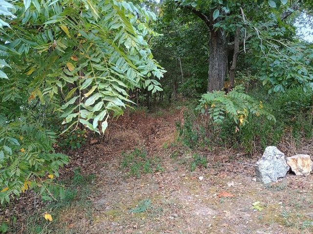 46 Private Road 160-190, Alton, MO 65606