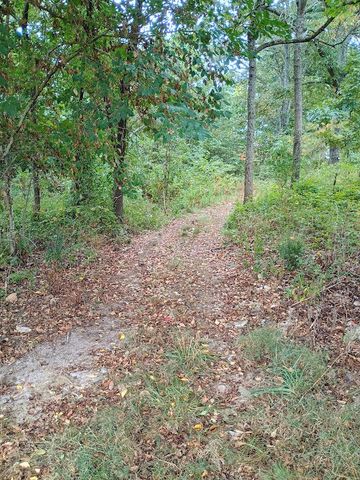 46 Private Road 160-190, Alton, MO 65606