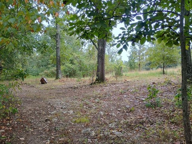 46 Private Road 160-190, Alton, MO 65606