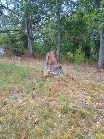 46 Private Road 160-190, Alton, MO 65606