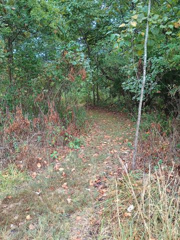 46 Private Road 160-190, Alton, MO 65606