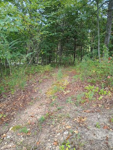 46 Private Road 160-190, Alton, MO 65606