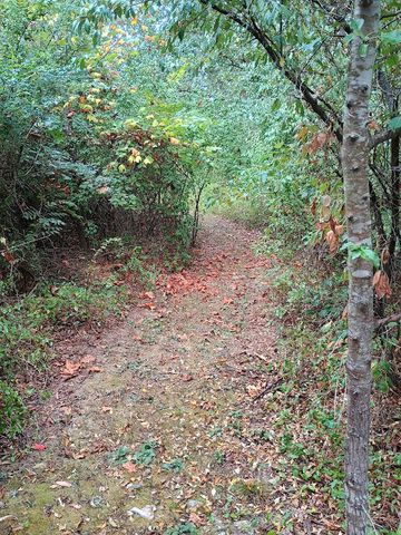 46 Private Road 160-190, Alton, MO 65606