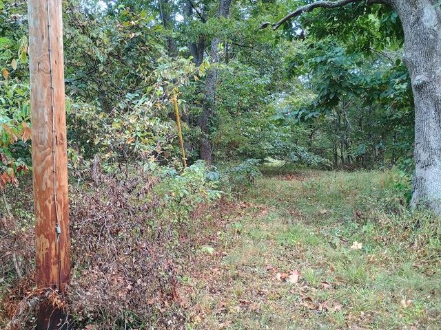 46 Private Road 160-190, Alton, MO 65606