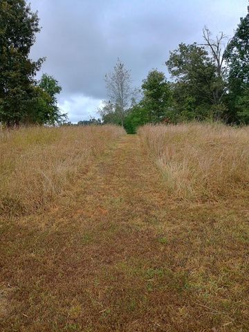 46 Private Road 160-190, Alton, MO 65606