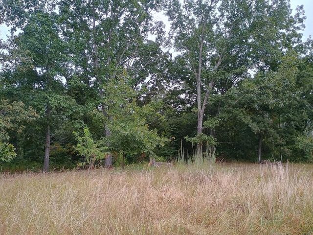 46 Private Road 160-190, Alton, MO 65606