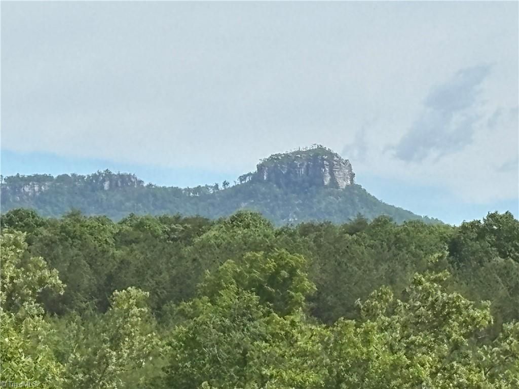 00 Caudle Road, Pinnacle, NC 27043