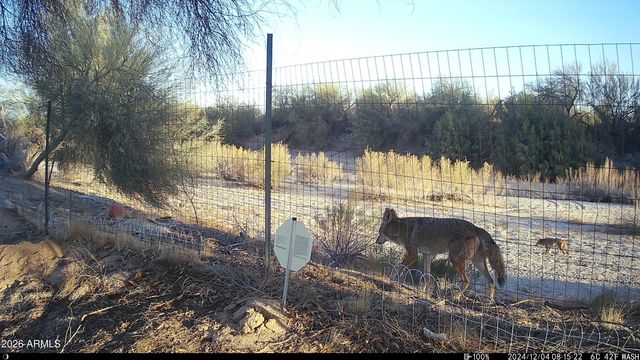 11241 S 217TH Avenue, Buckeye, AZ 85326
