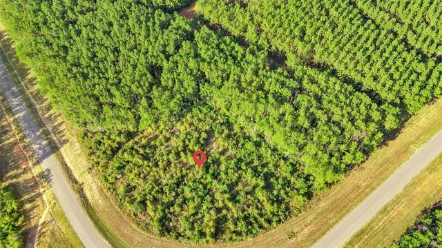 16086 Forest Mill Road, Willis, TX 77378