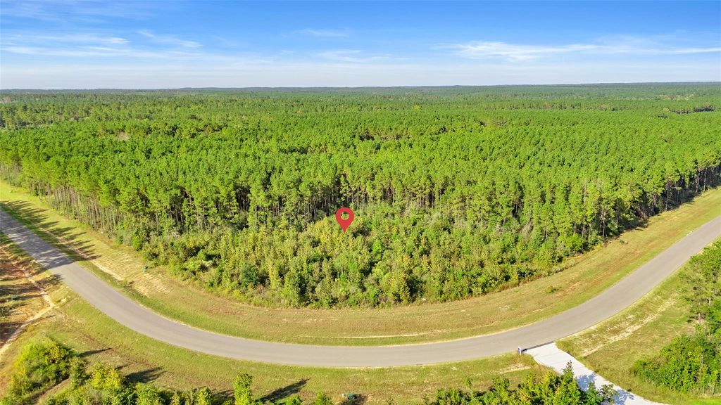 16086 Forest Mill Road, Willis, TX 77378