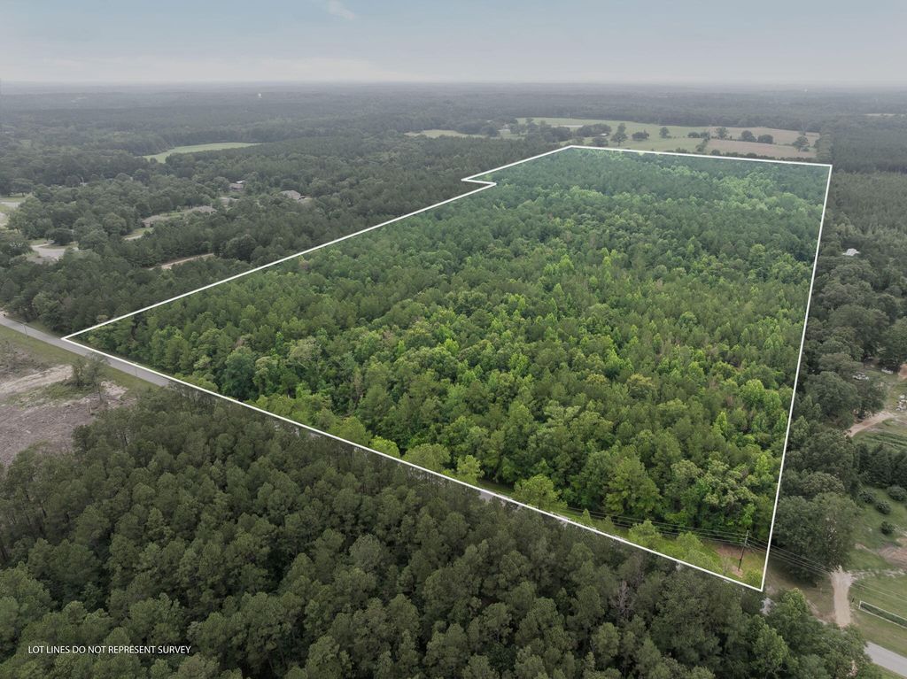 000 Scruggs, Sumrall, MS 39482