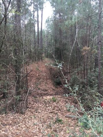 0 Texas Grand Road, Huntsville, TX 77340