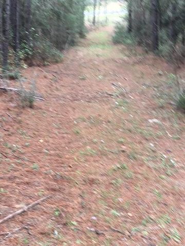 0 Texas Grand Road, Huntsville, TX 77340