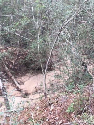 0 Texas Grand Road, Huntsville, TX 77340