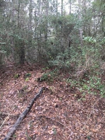 0 Texas Grand Road, Huntsville, TX 77340