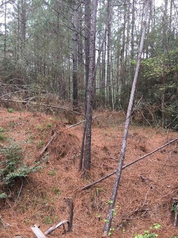 0 Texas Grand Road, Huntsville, TX 77340