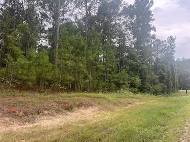0 Texas Grand Road, Huntsville, TX 77340