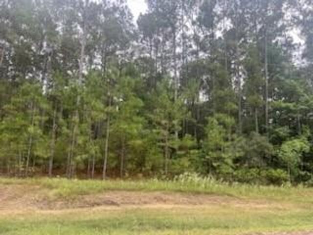 0 Texas Grand Road, Huntsville, TX 77340