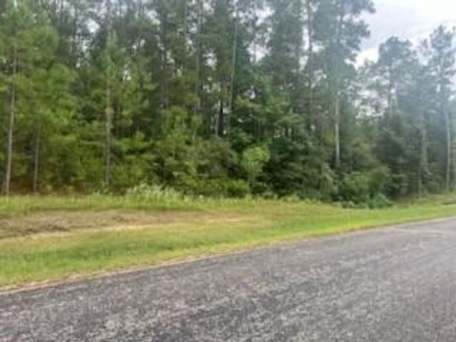 0 Texas Grand Road, Huntsville, TX 77340