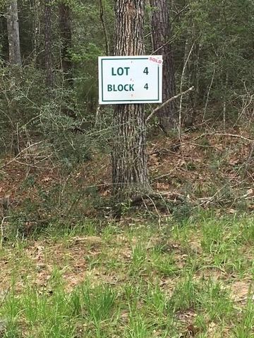 0 Texas Grand Road, Huntsville, TX 77340
