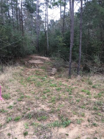 0 Texas Grand Road, Huntsville, TX 77340