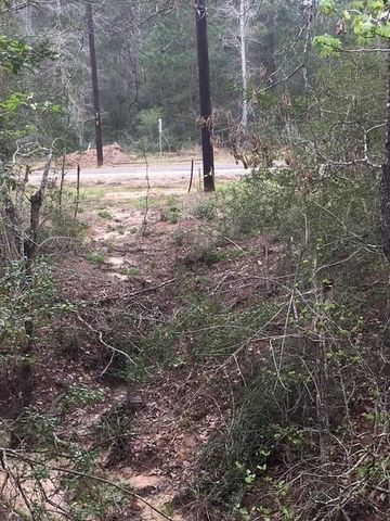 0 Texas Grand Road, Huntsville, TX 77340