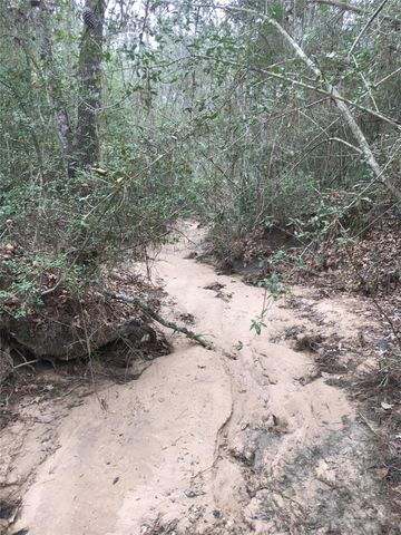 0 Texas Grand Road, Huntsville, TX 77340