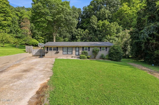 3825 Hemlock Park Lane, Kingsport, TN 37663