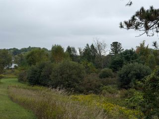 0 River Woodland Trail, Gladwin, MI 48624