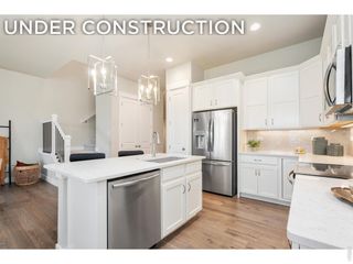 6226 Vernazza Way 2, Windsor, CO 80550