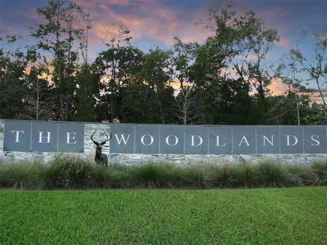 19 Millwright Place, The Woodlands, TX 77382