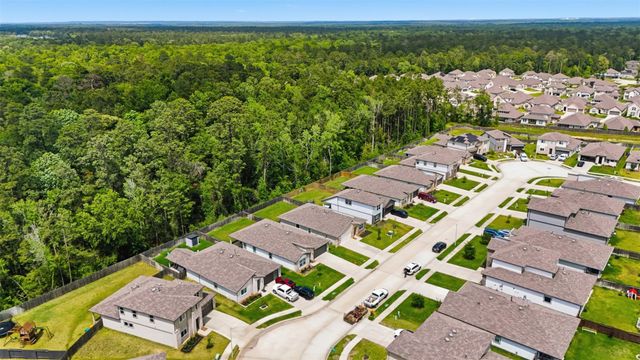 10426 Plateau Point Trail, Conroe, TX 77384