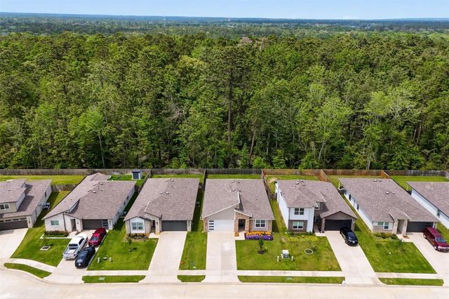 10426 Plateau Point Trail, Conroe, TX 77384