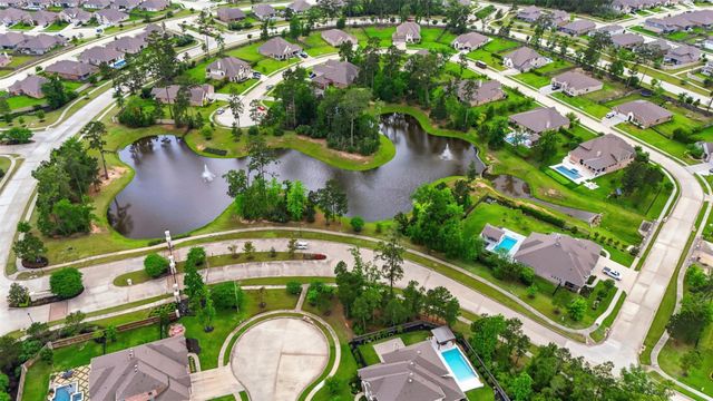 10426 Plateau Point Trail, Conroe, TX 77384