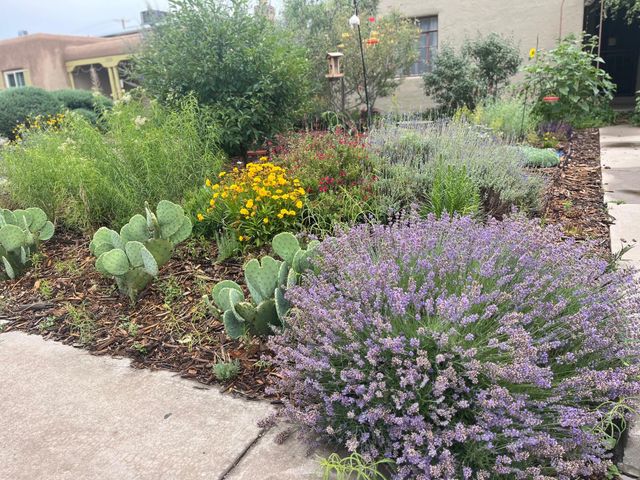 1208 Lead Avenue SW, Albuquerque, NM 87102