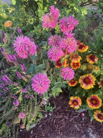 1208 Lead Avenue SW, Albuquerque, NM 87102