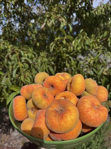 1208 Lead Avenue SW, Albuquerque, NM 87102