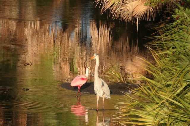 484 MARSH CREEK ROAD, Venice, FL 34292