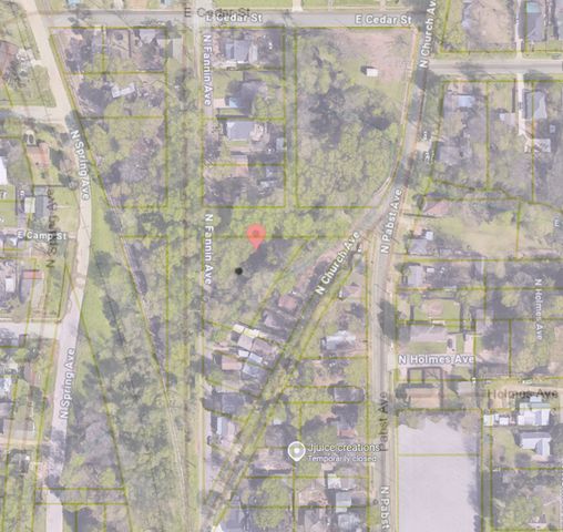 1315 N Fannin Avenue, Tyler, TX 75702