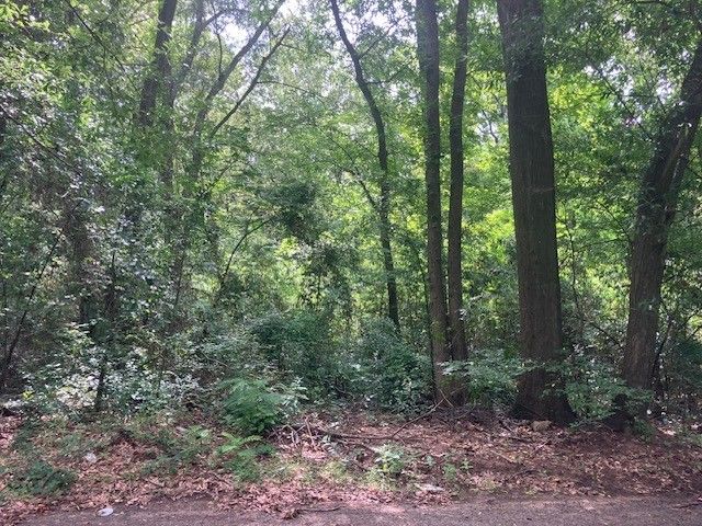 1315 N Fannin Avenue, Tyler, TX 75702