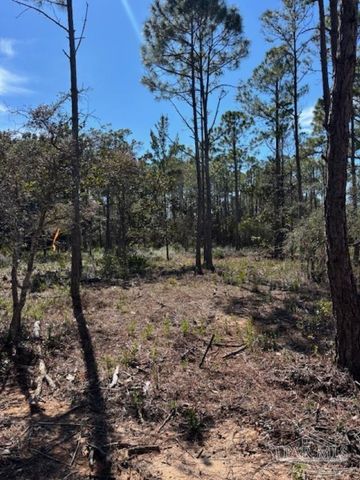 4481 Water Leaf Cv, Gulf Breeze, FL 32563