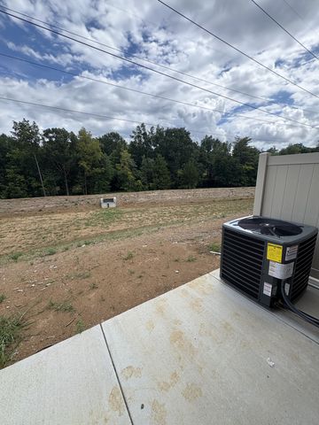 453 Slugger St, Smyrna, TN 37167