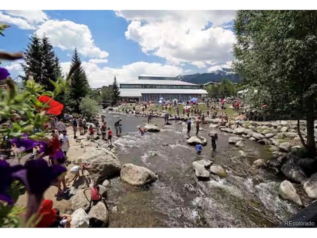 110 S Park Ave 124, Breckenridge, CO 80424